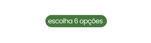 escolha 6 opções